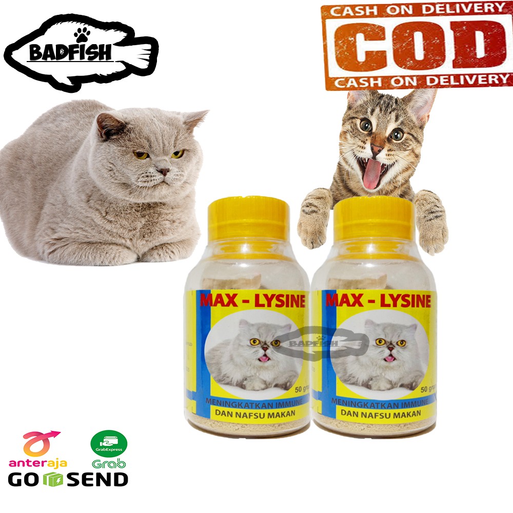 PENGGEMUK BADAN KUCING DEWASA / OBAT KUCING KURUS - MAX LYSINE 50gr