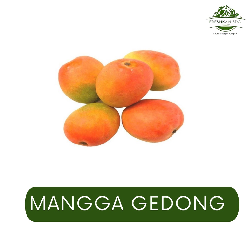 

MANGGA GEDONG FRESHKAN