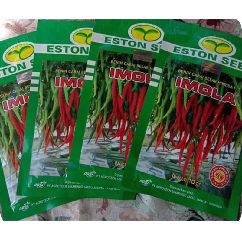 benih cabe besar IMOLA NEW kemasan 10gr