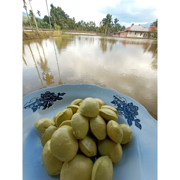 

jengkol mudah
