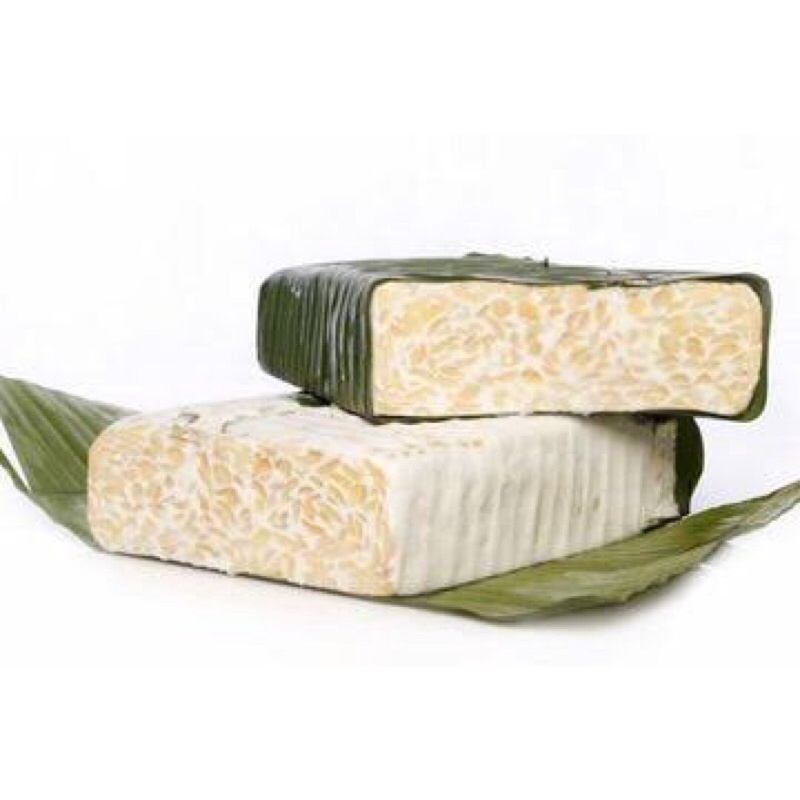 

tempe daun besar