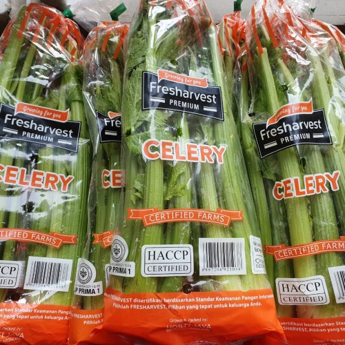 

FRESHARVEST CELERY LOKAL PACK - SAYURAN SELEDRI LOKAL