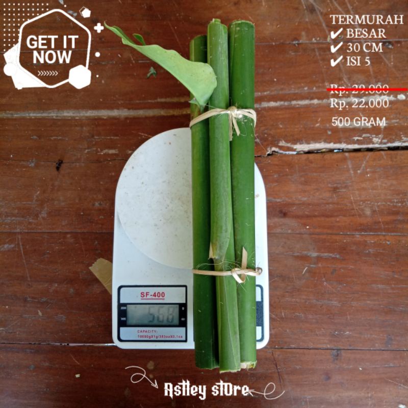 

Batang Kecombrang Segar Atau Batang Honje Honjelaka 1 KG