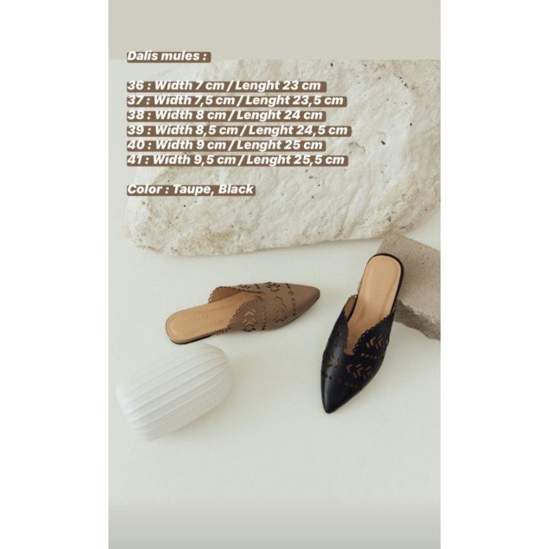 ProteaxPatriciaStephanie