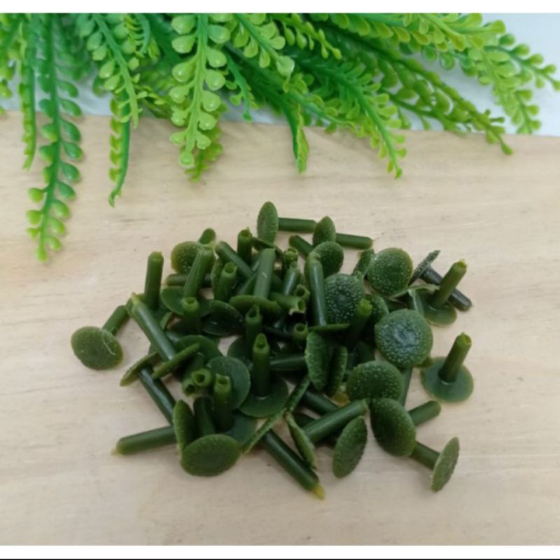 100 pcs Paku Bunga Papan Suyok Penutup Putik Bunga Tangkai Kelopak Paku suyok Payung