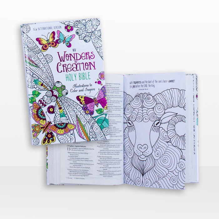 Jual NIV Wonders Of Creation Holy Bible | Shopee Indonesia