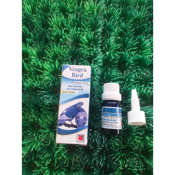 VEAGRA BIRD UNTUK JANTAN MERPATI TELOR BENING