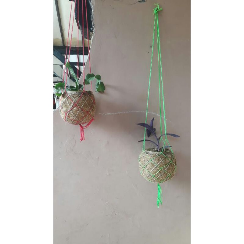 Pot Bunga Kokedama Gantung dan Duduk