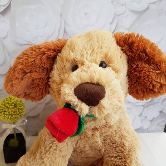 Boneka Brown dog with red flower xxl