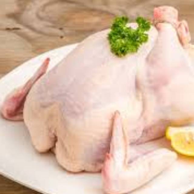 

Ayam fresh lokal per ekor