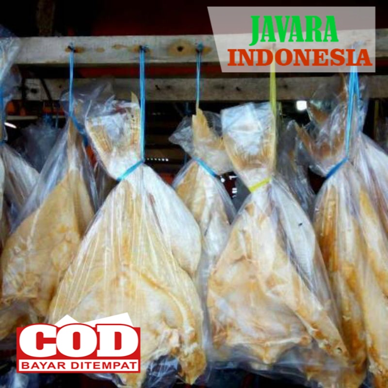 

ikan asin jambal roti kualitas super khas pangandaran 500gr