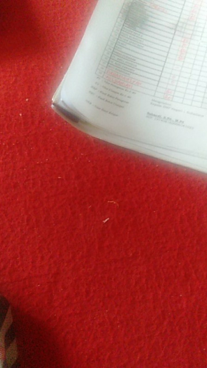 Tanaman Hias Gantung Air Mancur Bunga Putih