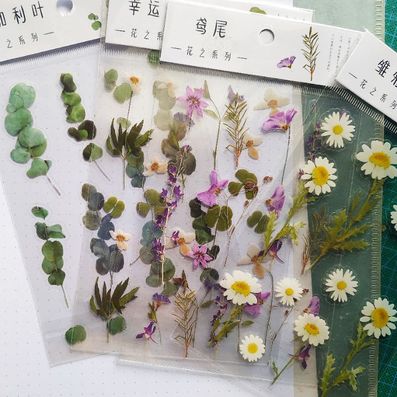 

Sticker transparan Bullet Journal / scrapbooking tema Tumbuhan
