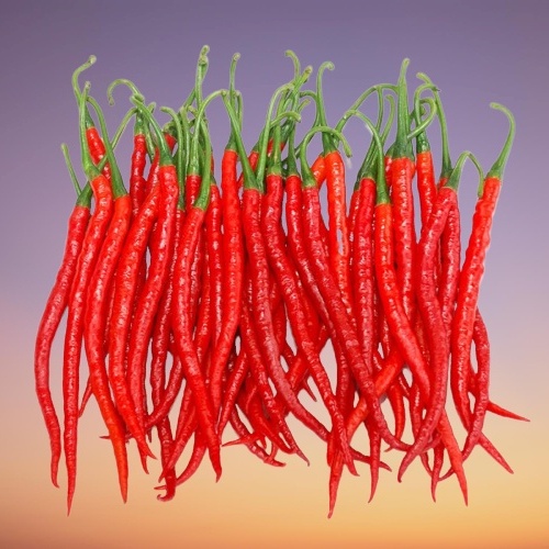 

( PER 250 GRAM ) ~ CABE / CABAI MERAH KERITING