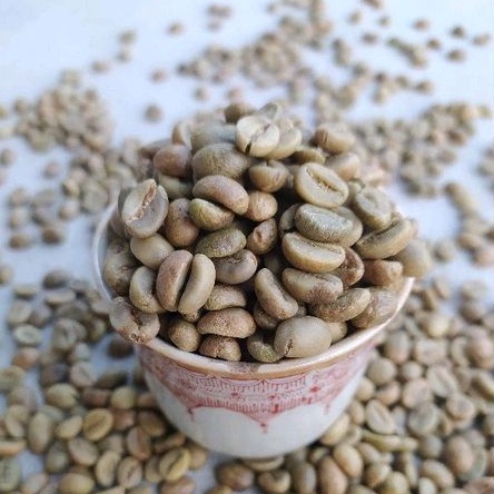 

Greenbean Robusta Asalan Premium Temanggung 1 kg