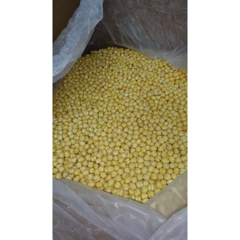 Kacang arb / kacang humus 1kg