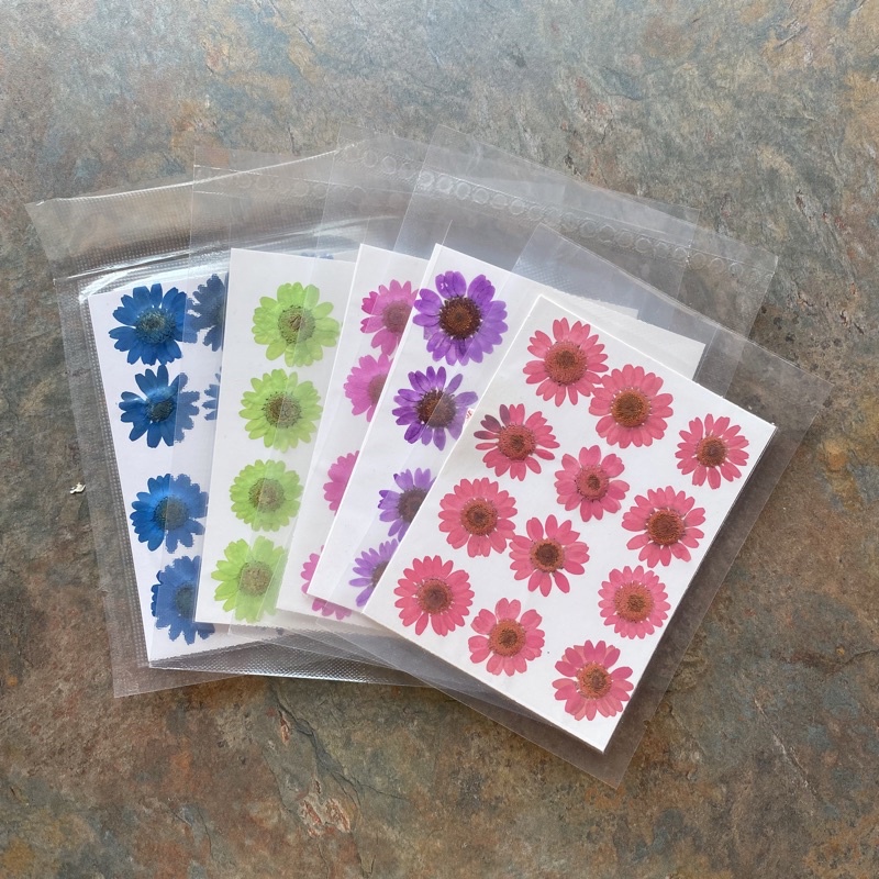 Pressed Flower Daisy | Daisy Dried Flower | Bunga Kering Daisy | Epoxy Resin Bunga Murah