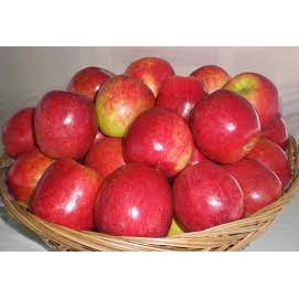 

Apel ana Batu