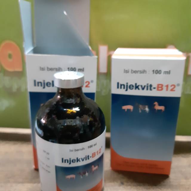 B12 100ml BONUS ALAT 3 ML obat ayam burung merpati anjing kucing anemia nafsu makan kuat