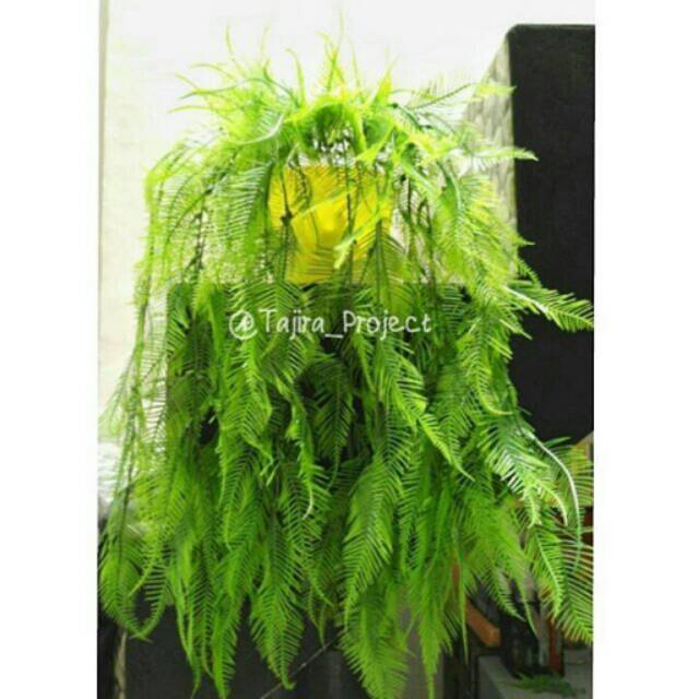 Daun Gantung/ tanaman Gantung / tanaman Hias /tanaman artificial