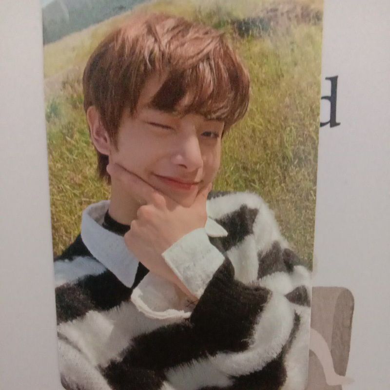 photocard jake enhypen dawn bdo/ pc kpop