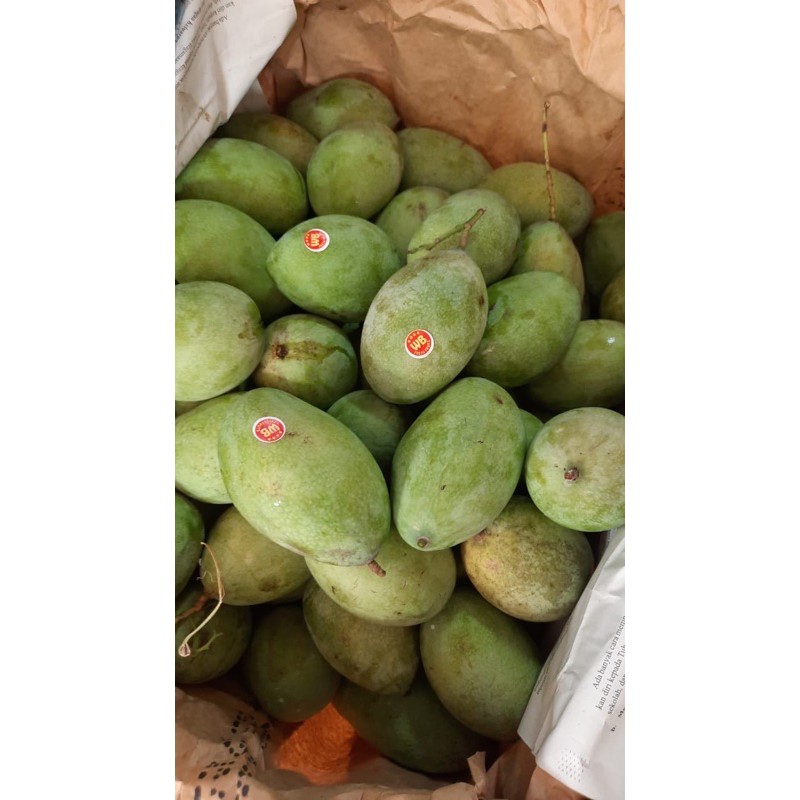 buah Mangga Manalagi 1kg