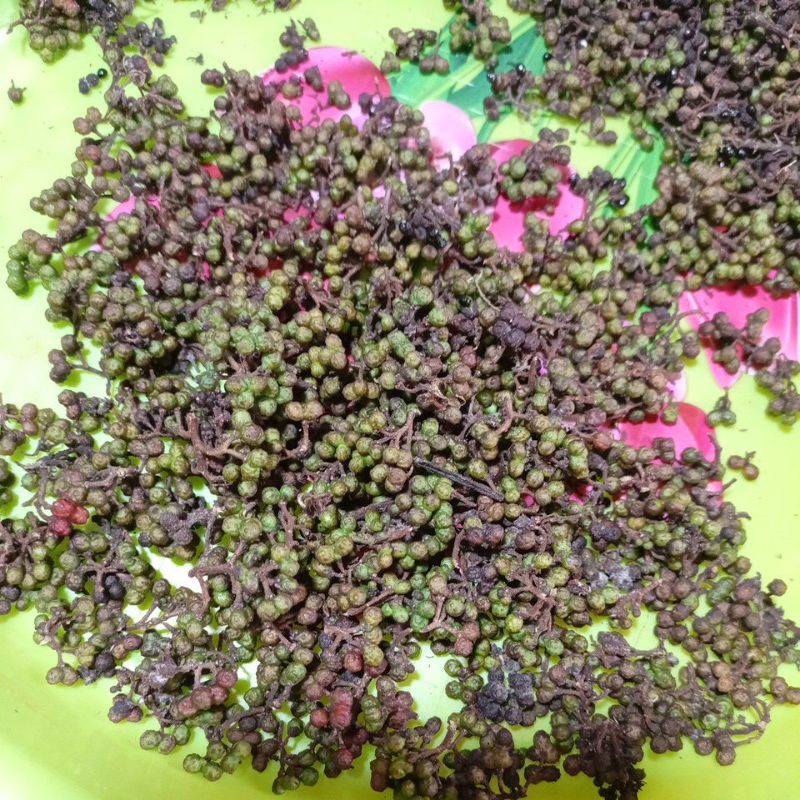 

Andaliman /Lada Medan 20gr