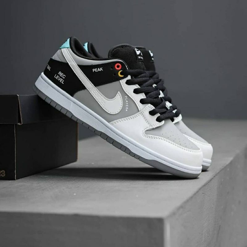 nike sb dunk low VX1000 camcorder