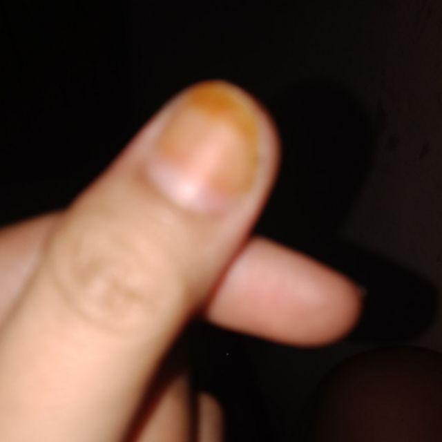 Penjepit Mulsa Plastik 100 Biji