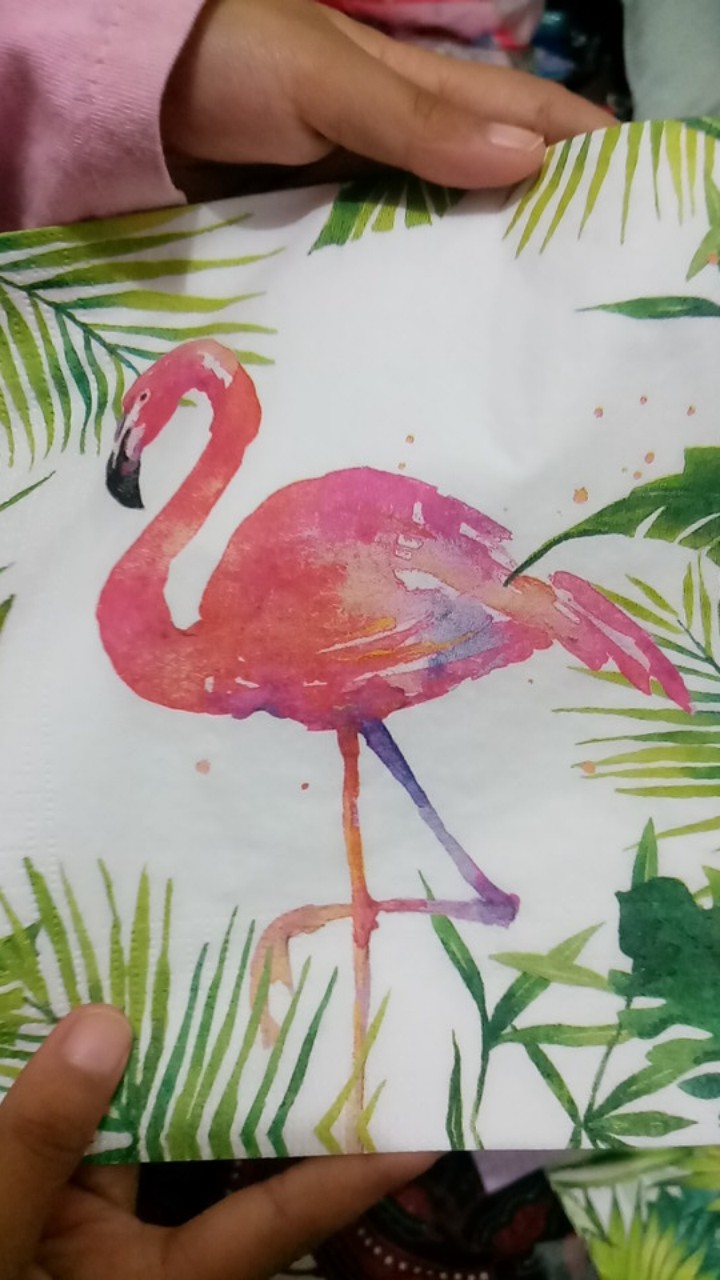 Napkin Decoupage - Tisu Eropa - Sc 313