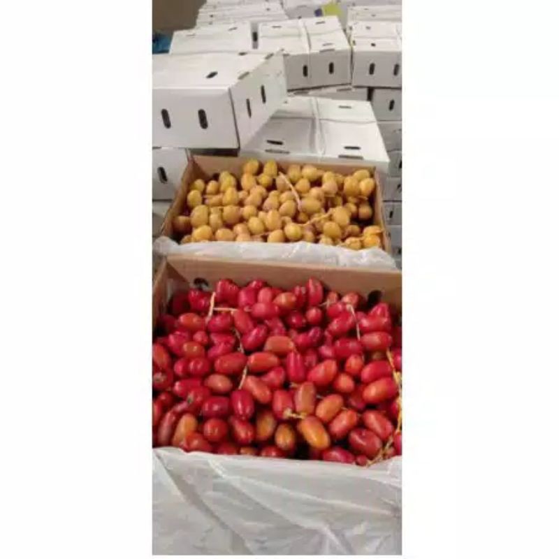 

kurma muda promil fress no frozen 1kg
