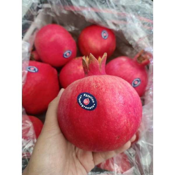 

DELIMA MERAH JUMBO IMPORT BIJI LUNAK