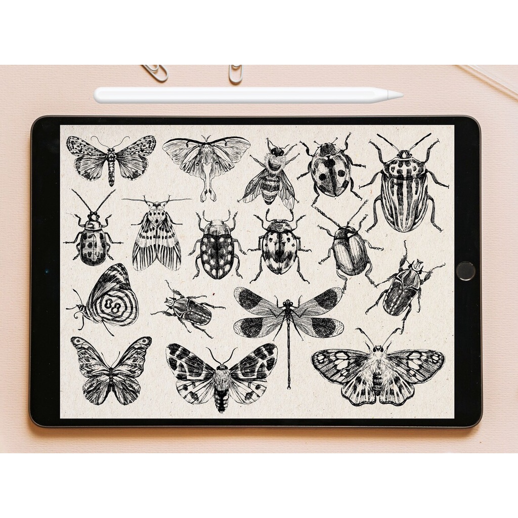 Procreate Brush - Insect Stamp Brushes for Procreate