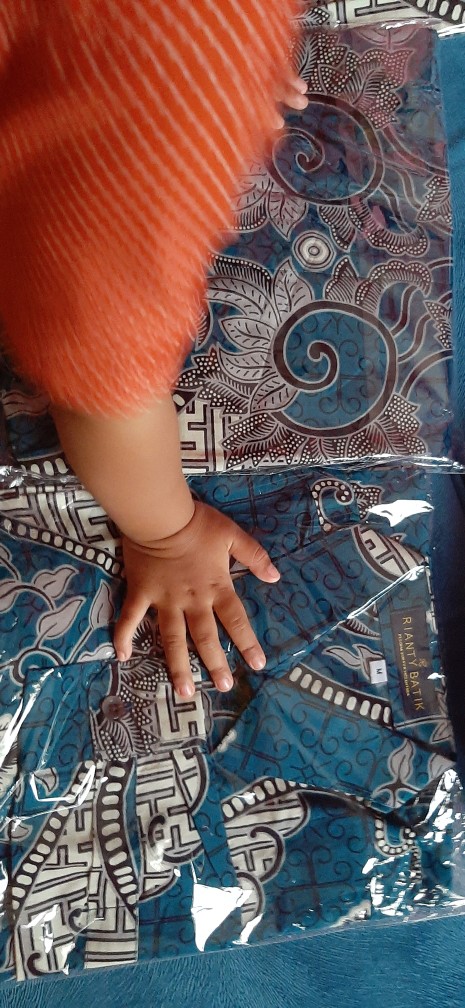 Kemeja Batik Pria Lengan Panjang Rianty Delo