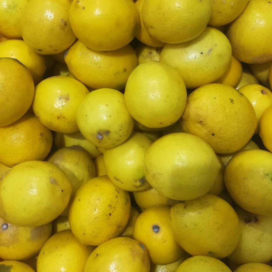 

Lemon Natural, Tanpa Pestisida - 1kg