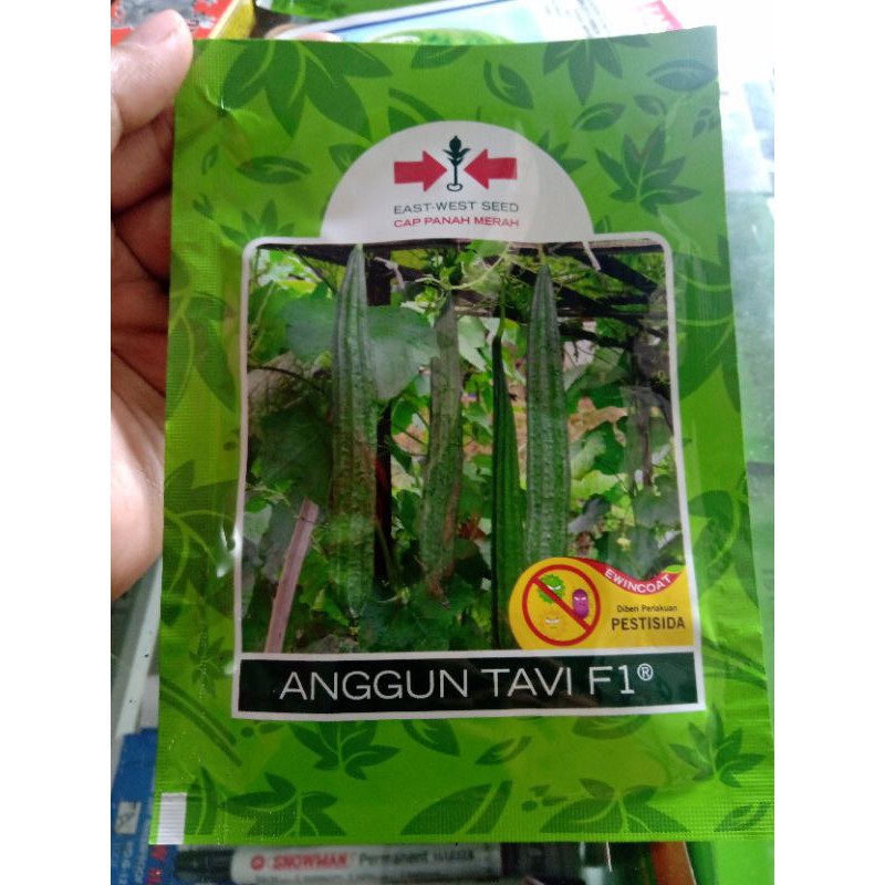 Benih Unggul Oyong Cap Panah Merah Anggun Tavi F1 bibit gambas