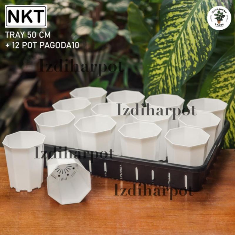 1 SET TRAY + 12 POT PAGODA 10 PUTIH TRAY POT NKT 50CM | TRAY SEMAI BIBIT