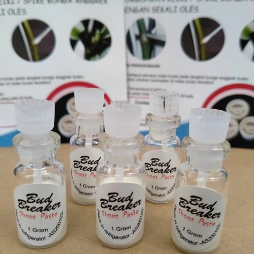 Bud breaker Penumbuh Tunas Anggrek 1gr