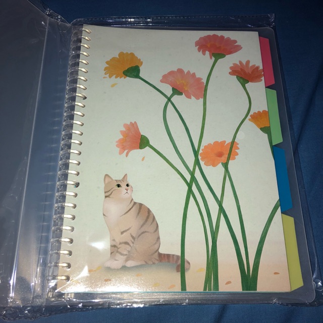 [WTS] NULISCATET BINDER / FILE B5 BONUS LOOSE LEAF DAN PEMBATAS