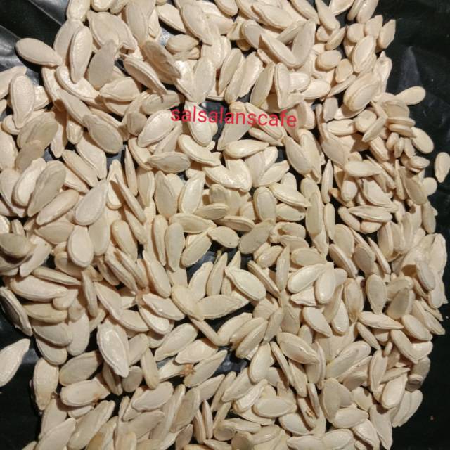 Biji Benih Buah Bligo/ Kundur 150 Butir Herbal