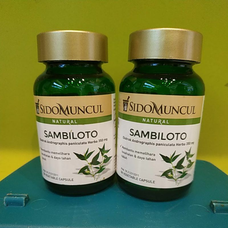 SidoMuncul Sambiloto