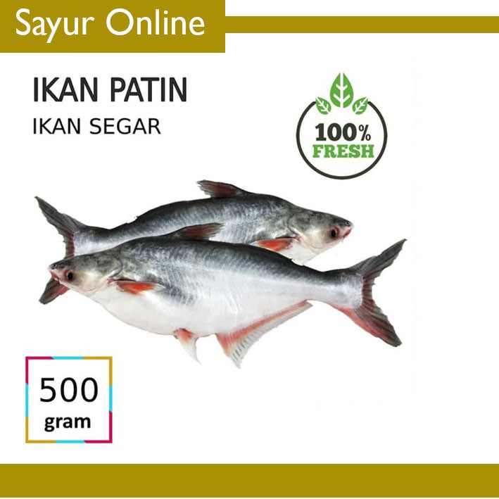 

[SayurOnline] IKAN PATIN [500g]