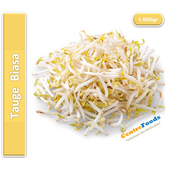 

Tauge Biasa | Jabar [ Harga Per KG ]