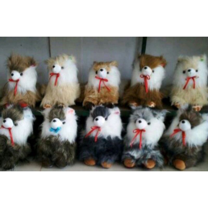 Boneka Kucing Angora Lucu Bulu Jabrig Korea Murah