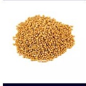

YELLOW MUSTARD SEED / BIJI SAWI KUNING 100 GRAM