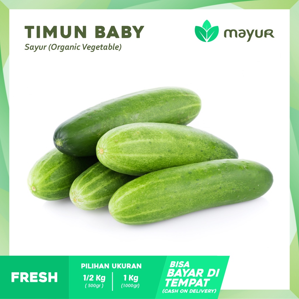 

Timun Baby / Timun Lalap ( 500gr | 1kg )