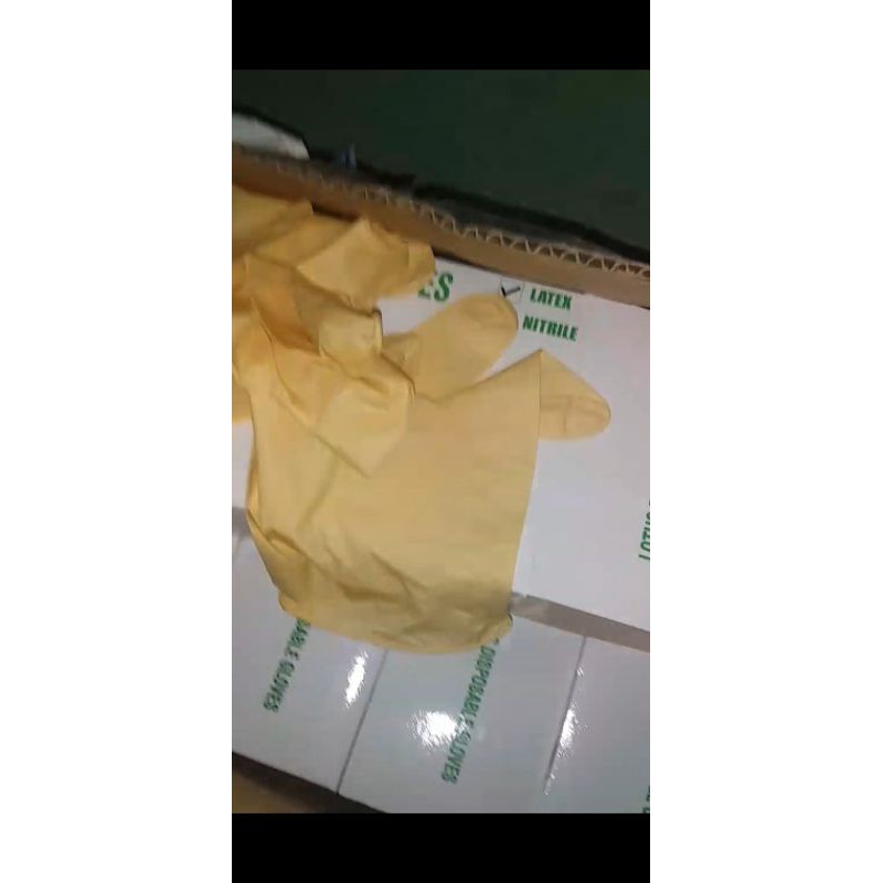 Ready disposable latex gloves size L dan M