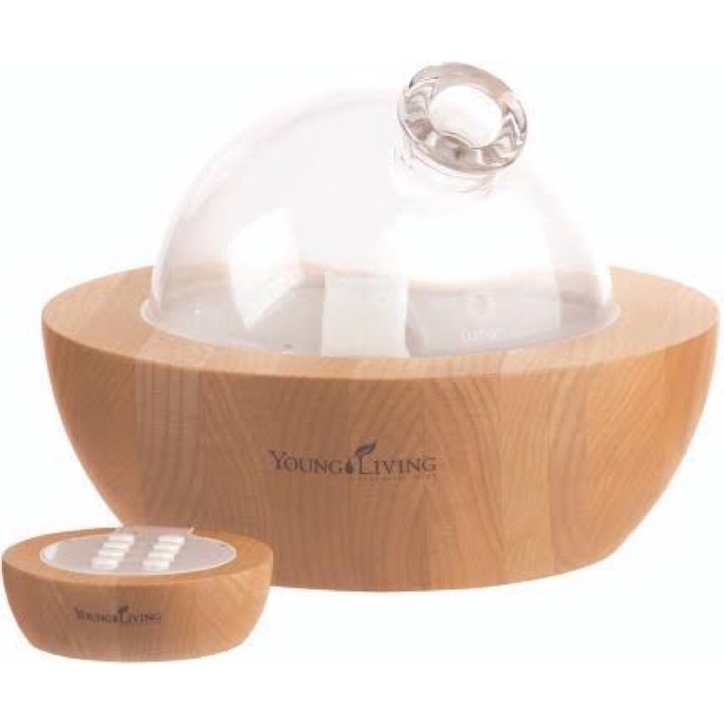 Preloved Diffuser Aria diffuser yl