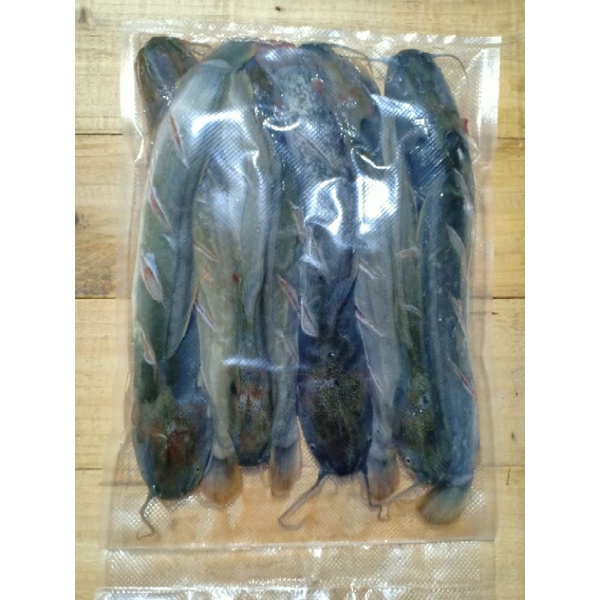 

IKAN LELE SEGAR dan FROZEEN FOOD