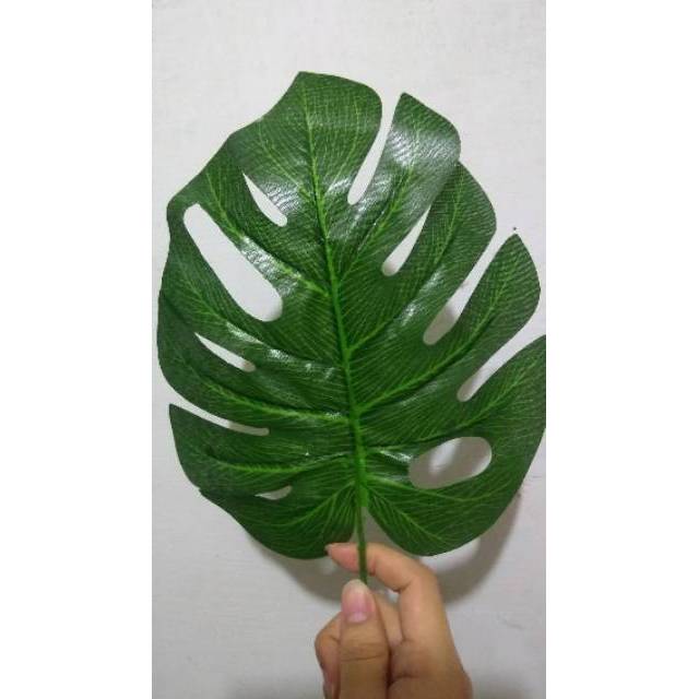 Drb 08 Daun Keladi Motif Bolong Hias Bunga Plastik Daun Keladi Artificial Daun Monstera Shopee Indonesia